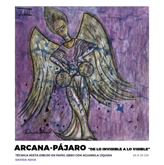 Arcana-Pájaro, Davida Nava